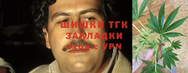 первитин Алексин