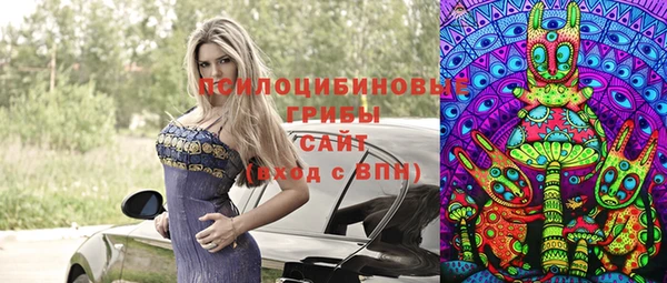 соль курить ск Алексеевка